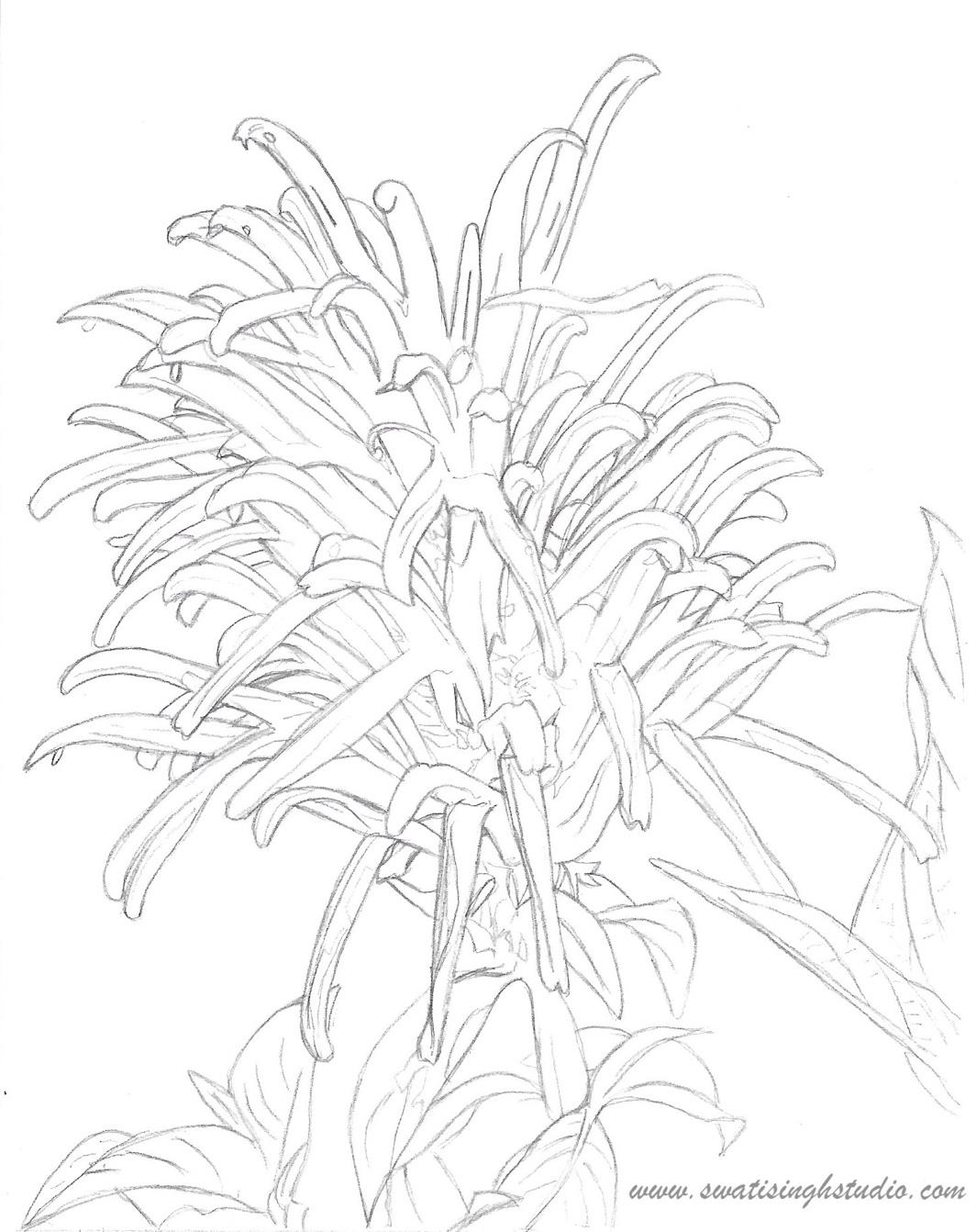 Picture 5